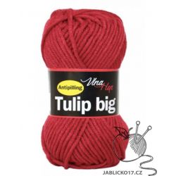 Tulip Big  červená
