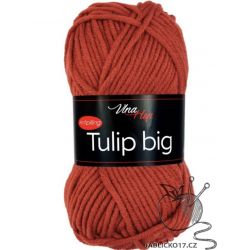 Tulip Big rezavá