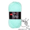 Tulip azurit
