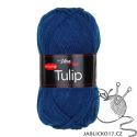Tulip modrá