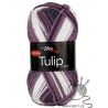 Tulip color - 5205