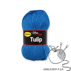Tulip modrá